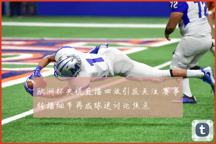 欧洲杯央视直播回放引发关注 赛事转播细节再成球迷讨论焦点